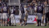 College Football GIF by Northwestern Athletics