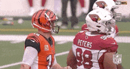 Regular Season Football GIF by NFL