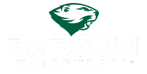 Volleyball Athletics Sticker by Babson College