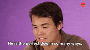 Dog Love GIF by BuzzFeed