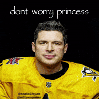 Sidney Crosby Nhl GIF