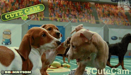 puppies GIF by SB Nation