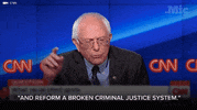 bernie sanders politics GIF