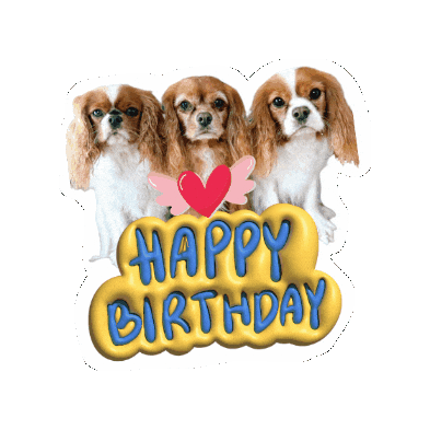 Birthday Cavalierkingcharlesspaniel Sticker