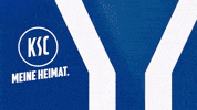 Soccer Bundesliga GIF by Karlsruher SC