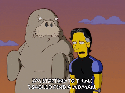Episode 1 GIF by The Simpsons