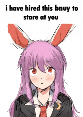 Bunny Stare GIF
