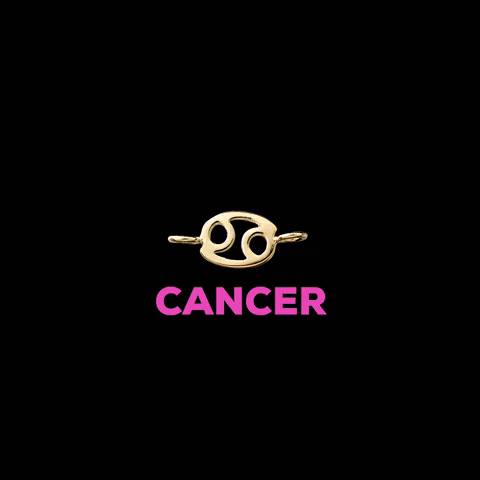 BraveDaughters_pvd giphygifmaker zodiac permanent jewelry brave daughters GIF