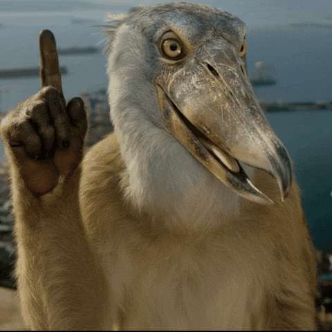 Instagram Monkey GIF