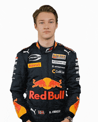 Formula 3 Dennis GIF by Prema Team