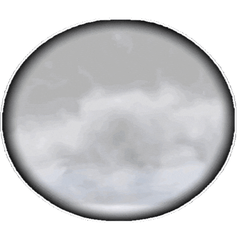 The Fog Rain Sticker