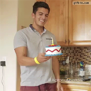 Video gif. Man sets a birthday cake with one lit candle in front of a cat wearing a party hat who swats it with a paw, sending it crashing to the floor.