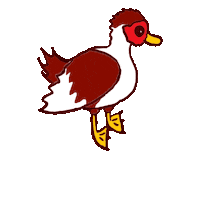 Ducks Enten Sticker