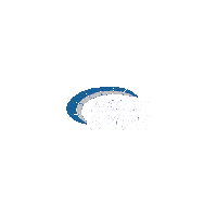 Libertadores Asb Sticker by ABSOLUT Sport Brasil