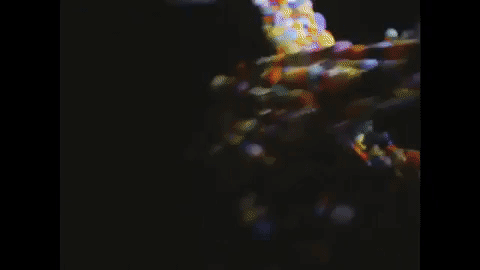 GIF by Sony Music Argentina