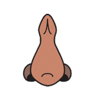 Nose Smell Sticker by Carolyn Figel