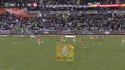 Nrl GIF by Canberra Raiders