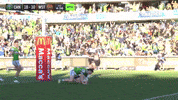 Nrl GIF by Canberra Raiders
