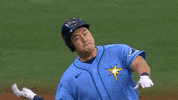 Celebrate Major League Baseball GIF by MLB
