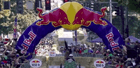 redbull yes win winner redbull GIF
