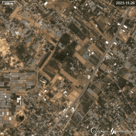 OBSERVATEURS giphyupload GIF