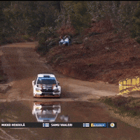 Car Swimming GIF by FIA European Rally Championship