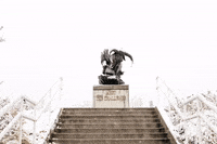 Utah State Bull GIF by Utah State University