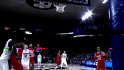 GIF by USUAthletics