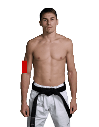 sticker fighter by Karate Combat