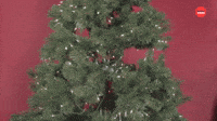 Happy Holidays!