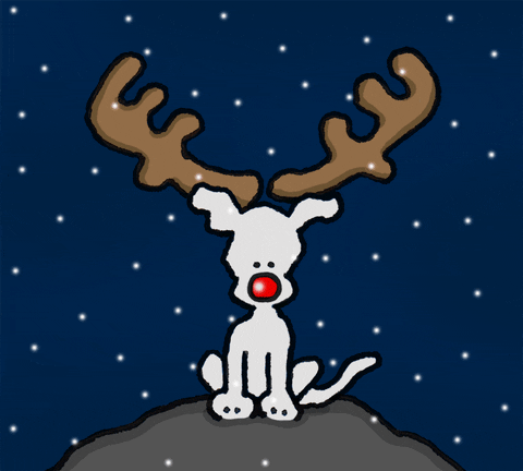 merry christmas GIF by Chippy the dog