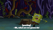 season 9 episode 24 GIF by SpongeBob SquarePants