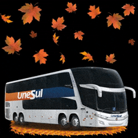 unesuloficial fall autumn viajar viagens GIF