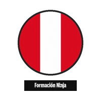 Peru Flag Sticker by Formación Ninja
