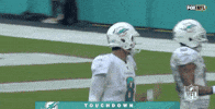 National Football League GIF by NFL