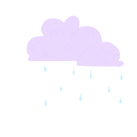 Rain Sticker