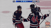 Ice Hockey Sport GIF by NHL