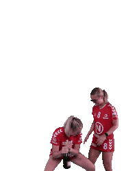 Wilhelmshaven Whv Sticker by whvhandball