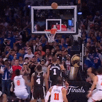 New York Knicks Hug GIF