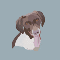 taylorlmaurer  GIF