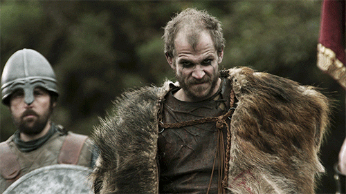 season 1 vikings GIF by HISTORY