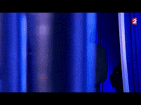 jean luc melenchon GIF by franceinfo