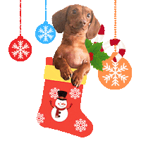 Merry Christmas Sticker