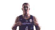 Czech Republic Game Sticker by FIBA