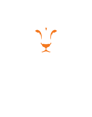 GymmitoFitness giphyupload fight club kids club lionsden Sticker
