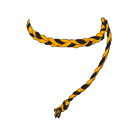 All Ireland Headband Sticker by The GAA - OfficialGAA