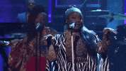 jimmy fallon GIF by Tank and The Bangas