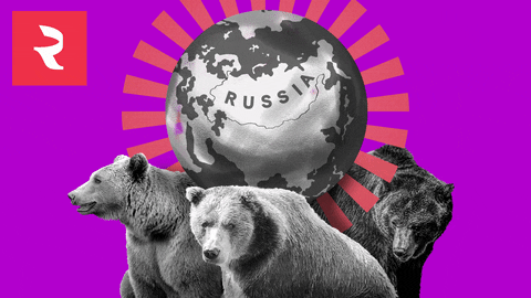 RussiaBeyond giphyupload bear russia russia beyond GIF