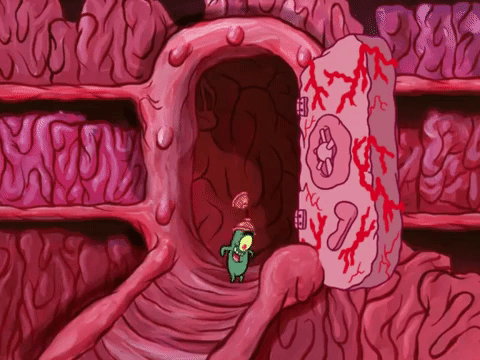 season 7 episode 3 GIF by SpongeBob SquarePants