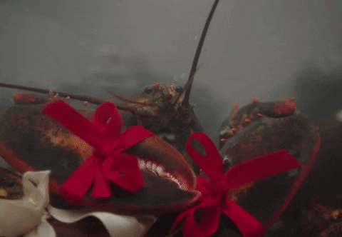 Were Good GIF by Dua Lipa